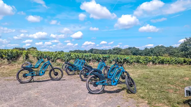 Melon B. electric scooter tour in the Vignoble Nantais, by Trott'in Nantes