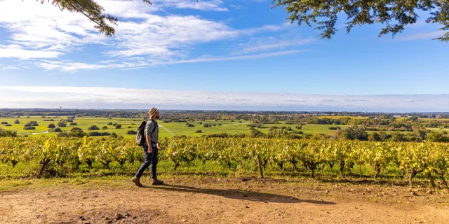 week-end rando près de Nantes : Vue sur les vignes et le marais de Goulaine depuis la Butte de la Roche