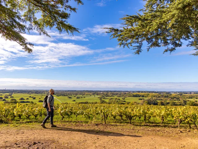 week-end rando près de Nantes : Vue sur les vignes et le marais de Goulaine depuis la Butte de la Roche