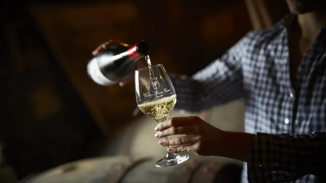 photo of wine tasting in a cellar in the val de loire, muscadet du pays nantais, chateau du Coing. glass of muscadet