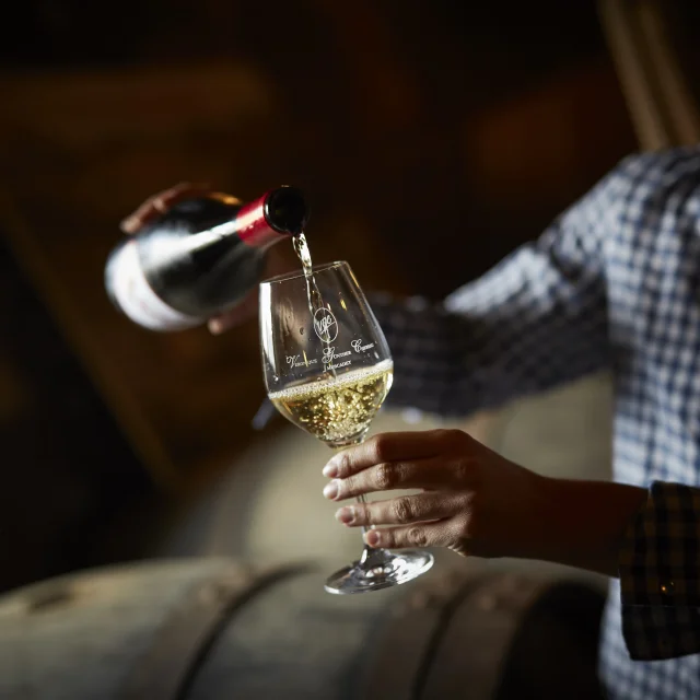 photo of wine tasting in a cellar in the val de loire, muscadet du pays nantais, chateau du Coing. glass of muscadet