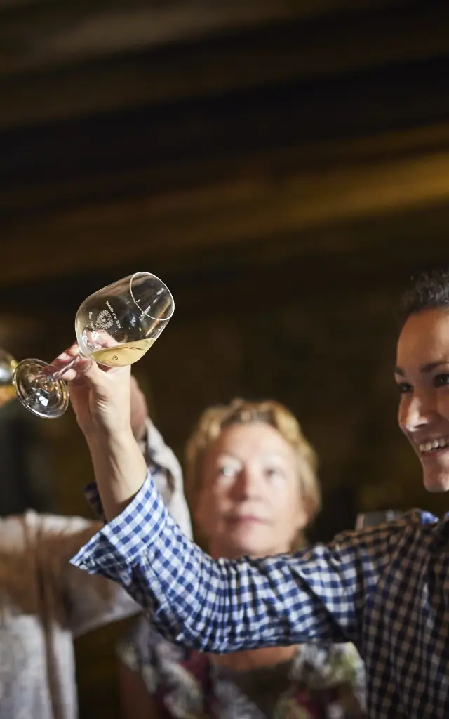 photo of wine tasting in a cellar in the val de loire, muscadet du pays nantais, chateau du Coing. glass of muscadet