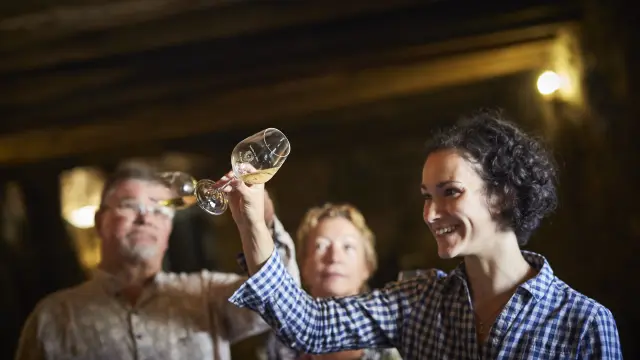 photo de degustation de vin dans une cave du val de loire, muscadet du pays nantais, chateau du Coing. verre de muscadet
