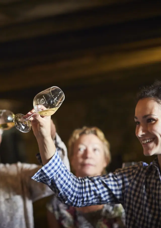 photo of wine tasting in a cellar in the val de loire, muscadet du pays nantais, chateau du Coing. glass of muscadet