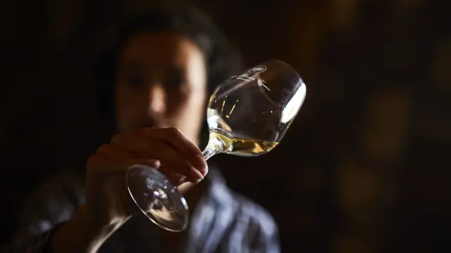 photo of wine tasting in a cellar in the val de loire, muscadet du pays nantais, chateau du Coing. glass of muscadet