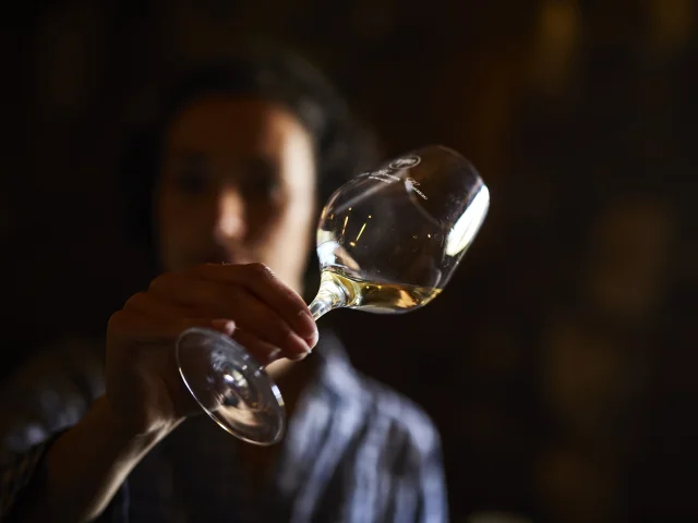 photo of wine tasting in a cellar in the val de loire, muscadet du pays nantais, chateau du Coing. glass of muscadet