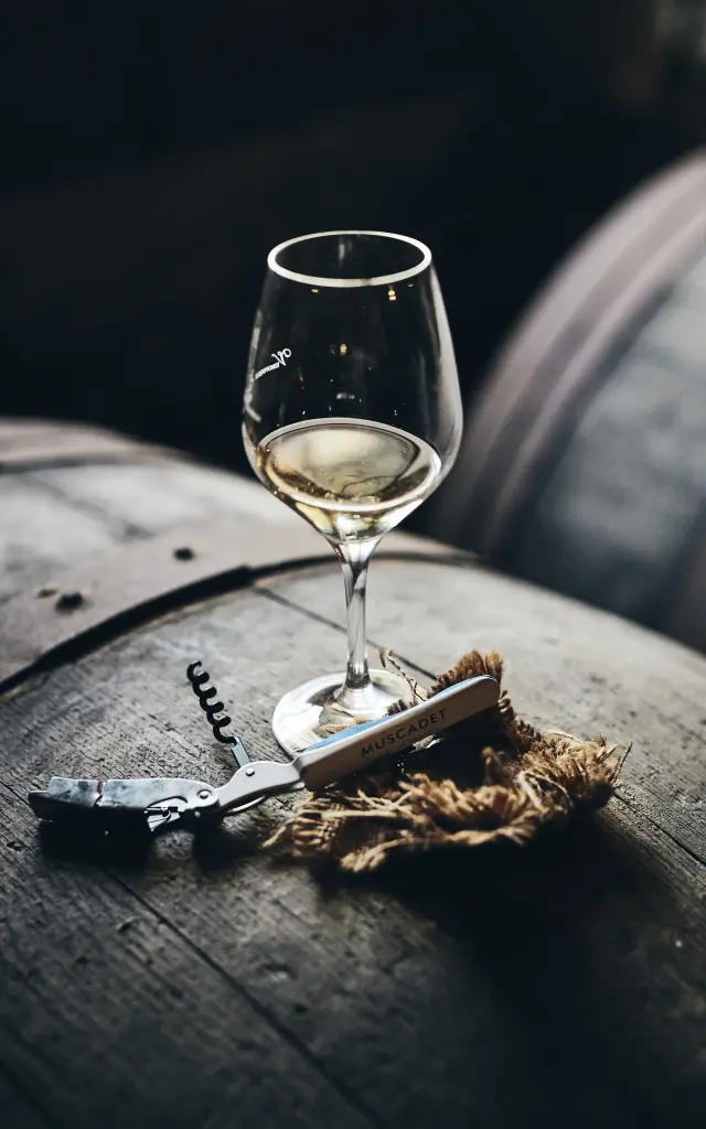 photo of wine tasting in a cellar in the val de loire, muscadet du pays nantais, chateau du Coing. glass of muscadet