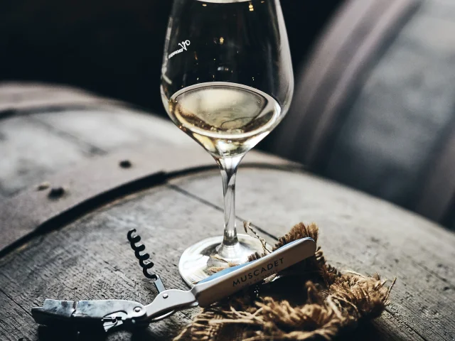 photo of wine tasting in a cellar in the val de loire, muscadet du pays nantais, chateau du Coing. glass of muscadet