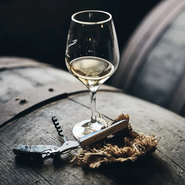 photo of wine tasting in a cellar in the val de loire, muscadet du pays nantais, chateau du Coing. glass of muscadet