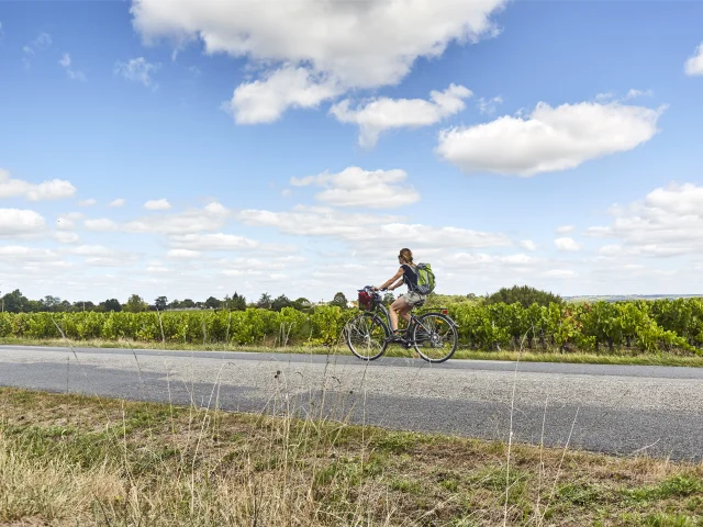 Cycling, scooters and gyropods: a bike ride through the Muscadet vineyards