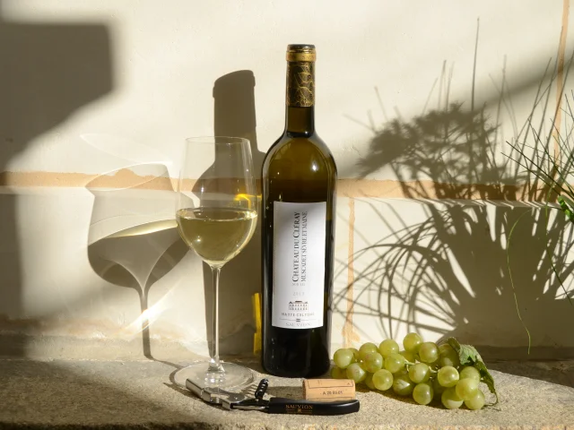 Chateau Cleray: Introduction to wine and cheese tasting