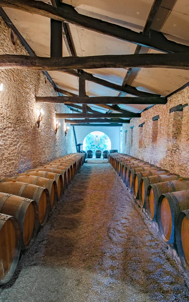 Nos caves et domaines du Vignoble Nantais : Cave du Chateau De La Cassemichere