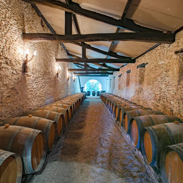 Our cellars and estates in the Vignoble Nantais : Cave du Chateau De La Cassemichere