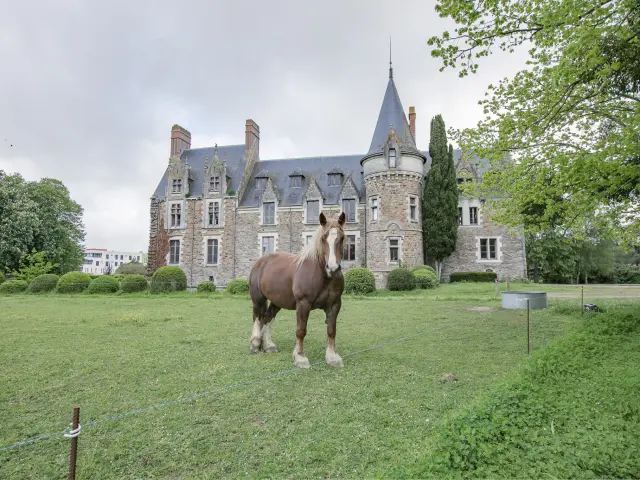 Réunions et événements professionnels : Chateau de briace Vignoble De Nantesphotochlatard 8