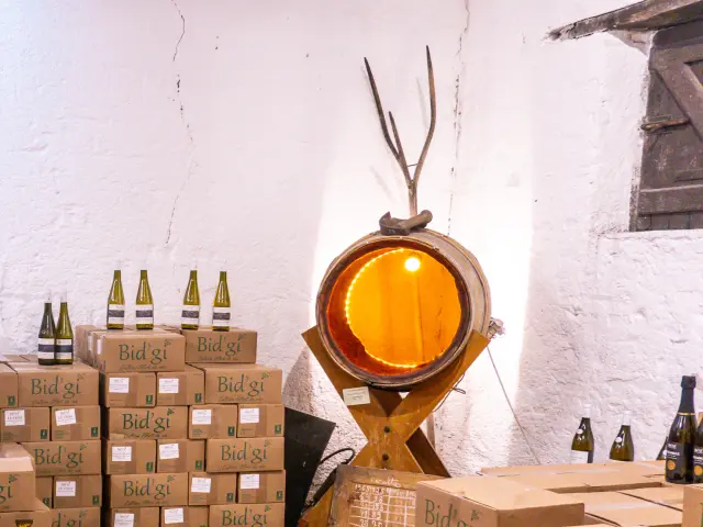 Muscadet sur lie from Domaine Bid'Gi