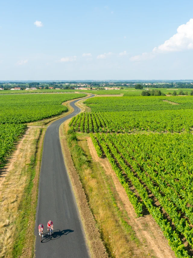 Itinerary of the Vélidéale in the Nantes vineyards