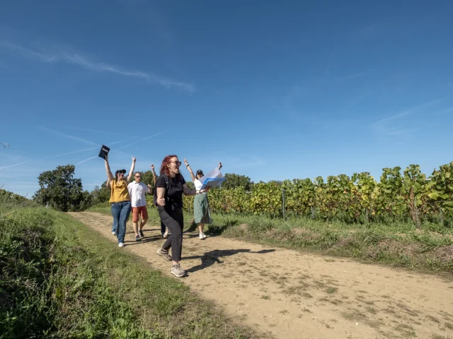 Le Secret de l'Aulnaye escape game in the vineyards of the Lieubeau family