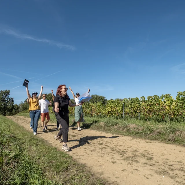 Le Secret de l'Aulnaye escape game in the vineyards of the Lieubeau family