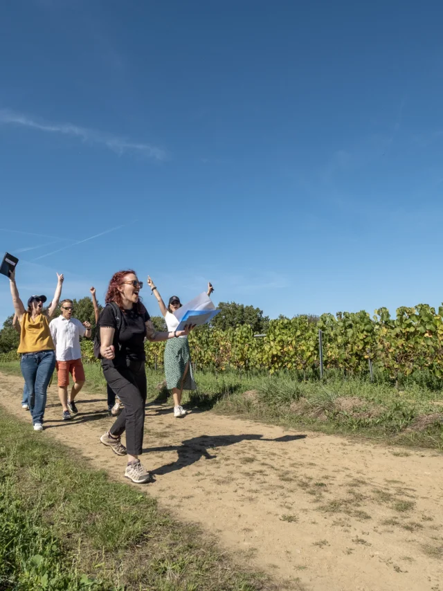 Le Secret de l'Aulnaye escape game in the vineyards of the Lieubeau family