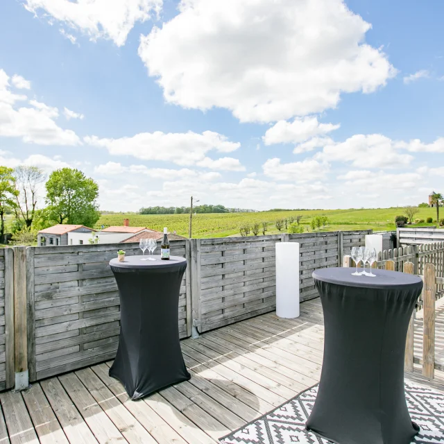 Réunions et événements professionnels : Domaine Menard Gaborit Vignoble De Nantesphotochlatard 6