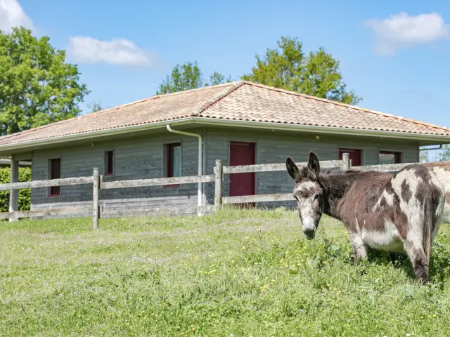 Réunions et événements professionnels : Gite et nature Vignoble De Nantesphotochlatard 3