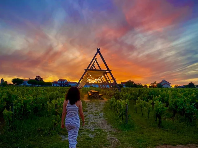 Journey through the vineyards: Guinguette De La Huchette 2024