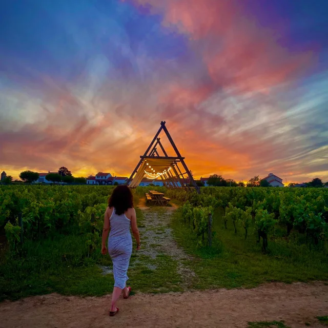 Voyage dans le Vignoble : Guinguette De La Huchette 2024