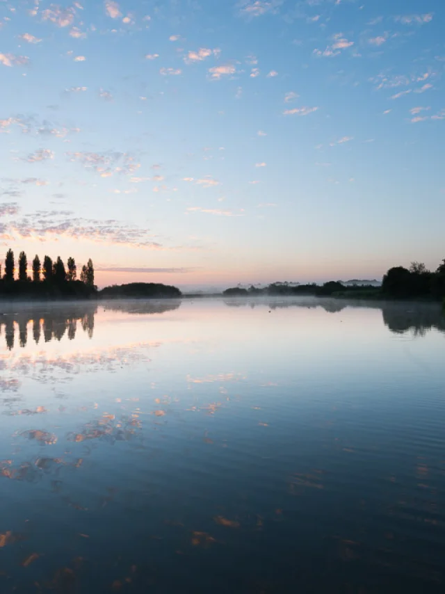 photo of sunrise in the mist over the Goulaine marshes. Nantes vineyards.