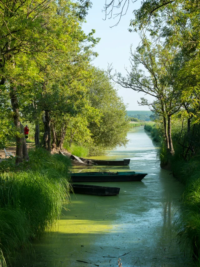 Vignoble à Vélo itinerary: Port de Montru on the Goulaine marshes.