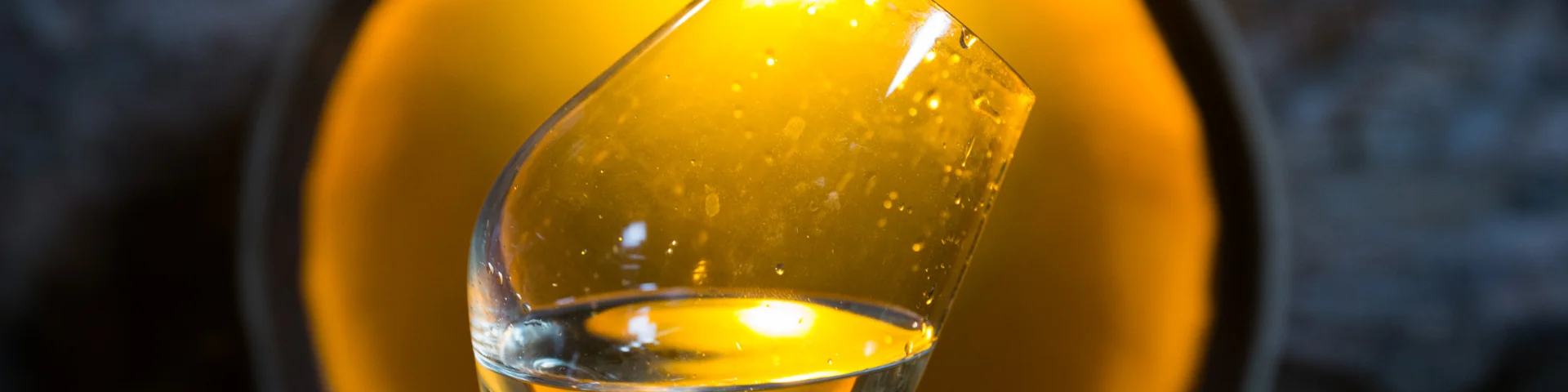 photo of a cellar visit to a muscadet producer in the Nantes vineyards. visit and discovery of muscadet, tasting of muscadet from the Nantes vineyards.