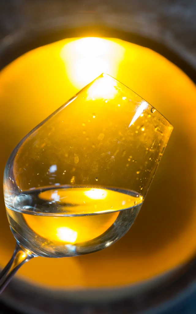 photo of a cellar visit to a muscadet producer in the Nantes vineyards. visit and discovery of muscadet, tasting of muscadet from the Nantes vineyards.