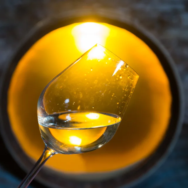 photo of a cellar visit to a muscadet producer in the Nantes vineyards. visit and discovery of muscadet, tasting of muscadet from the Nantes vineyards.