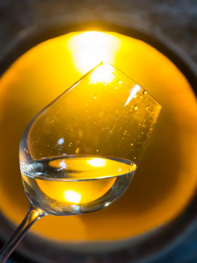 photo of a cellar visit to a muscadet producer in the Nantes vineyards. visit and discovery of muscadet, tasting of muscadet from the Nantes vineyards.