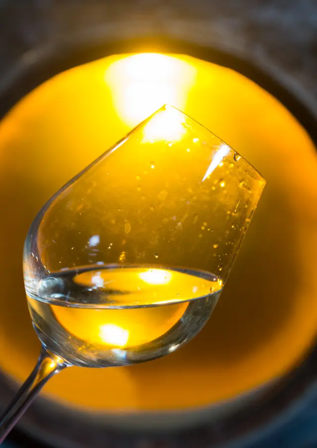 photo of a cellar visit to a muscadet producer in the Nantes vineyards. visit and discovery of muscadet, tasting of muscadet from the Nantes vineyards.