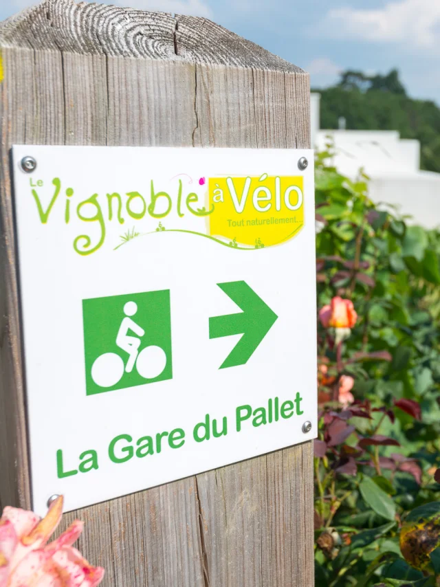 Le Vignoble by bike: Itinerary from Le Pallet