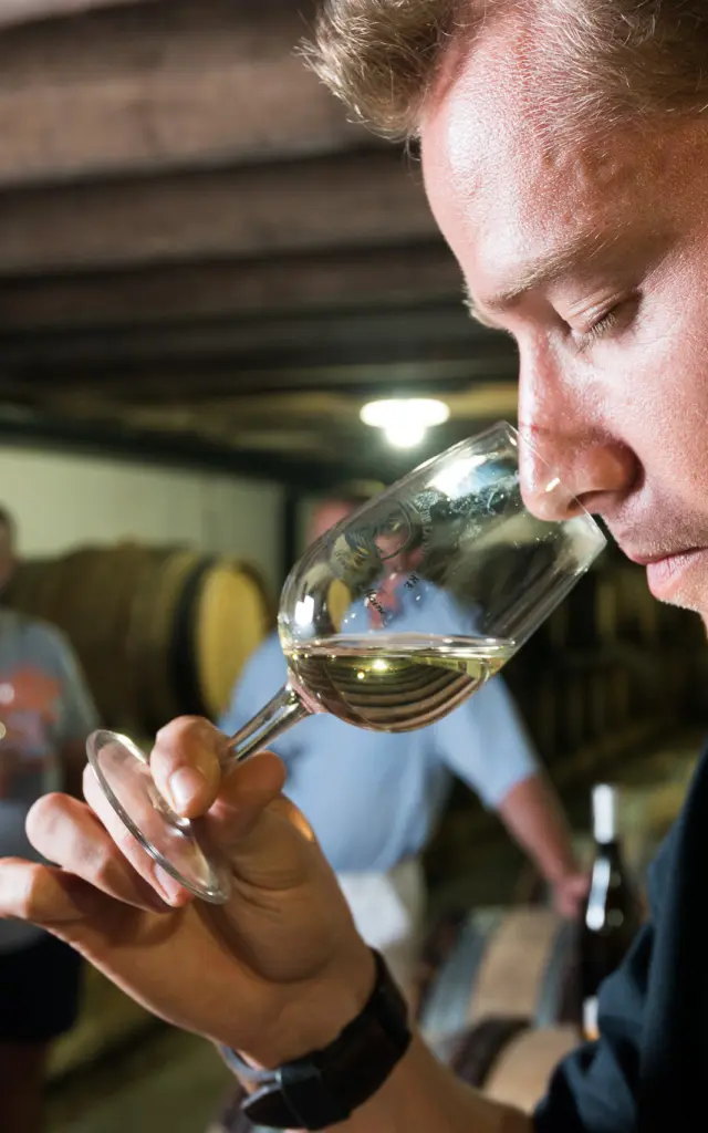 Tastings and visits: photo of a cellar visit at a muscadet producer in the Nantes vineyards. visit and discovery of muscadet, tasting of muscadet from the Nantes vineyards. DOMAINE MENARD-GABORIT at the moulin de la miniere.