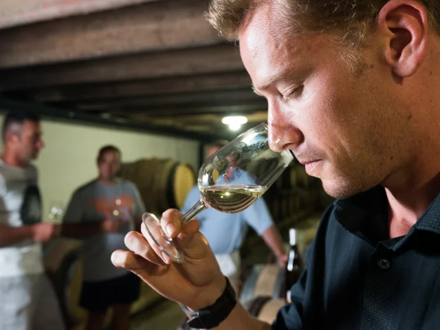 Tastings and visits: photo of a cellar visit at a muscadet producer in the Nantes vineyards. visit and discovery of muscadet, tasting of muscadet from the Nantes vineyards. DOMAINE MENARD-GABORIT at the moulin de la miniere.
