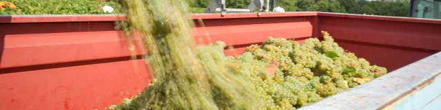 Harvesting with the Lieubeau family