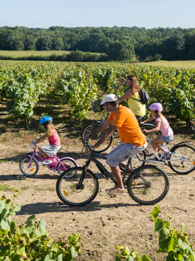 Itinerary of the Vélidéale in the Nantes vineyards
