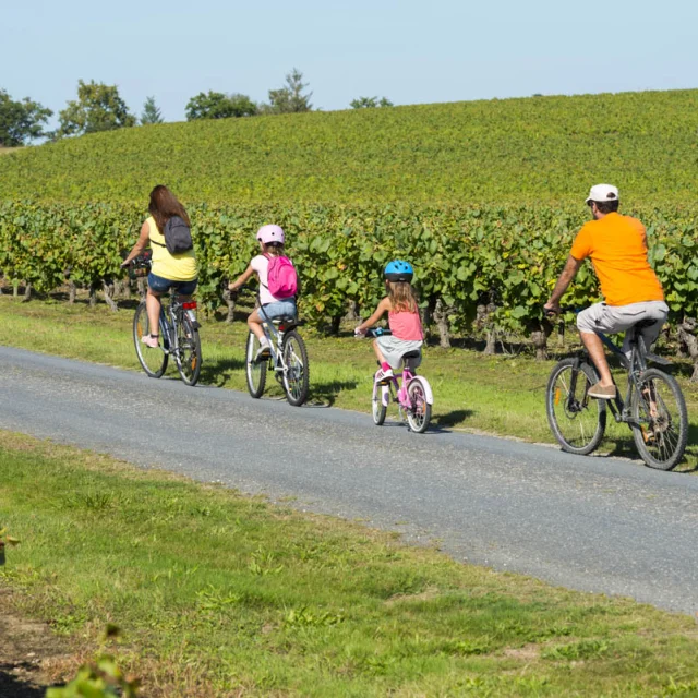 Itinéraire du Vignoble à vélo © dans le Vignoble Nantais