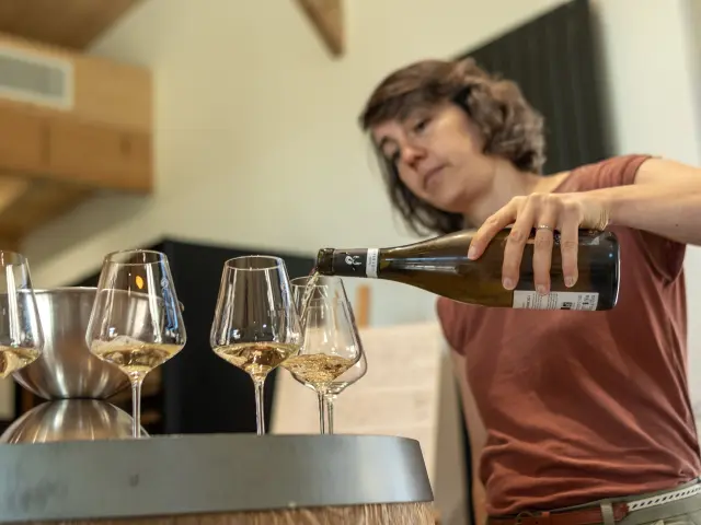 An idea for a wine tasting weekend near Nantes: a stay in the heart of the Muscadet in the Nantes vineyards