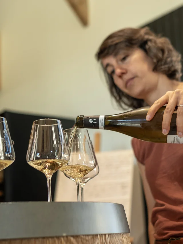 An idea for a wine tasting weekend near Nantes: a stay in the heart of the Muscadet in the Nantes vineyards