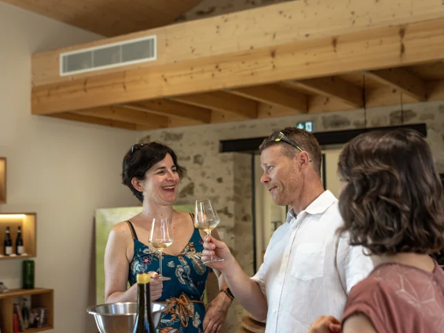 Our ideas for your stay : Wine tasting with the Lieubeau family