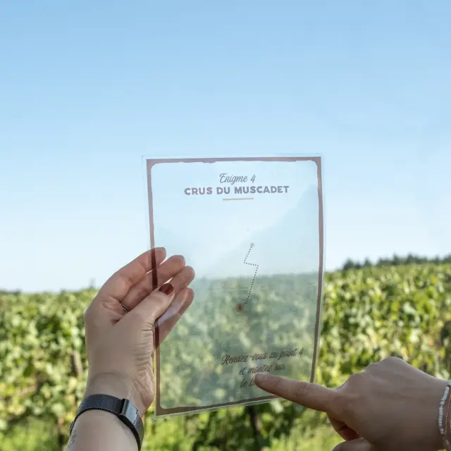 Une idée de week end dégustation vin près de Nantes : jeu de piste Le Secret de l’Aulnaye chez la Famille Lieubeau