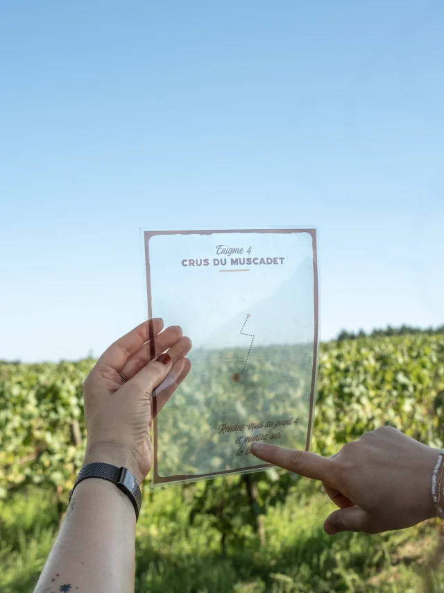 An idea for a wine tasting weekend near Nantes: the Secret de l'Aulnaye treasure hunt at the Lieubeau family estate