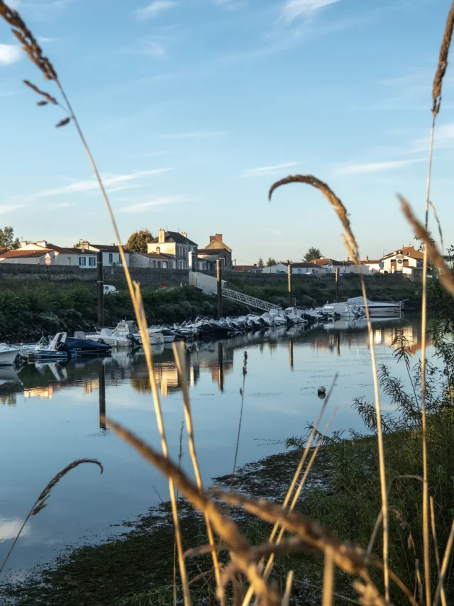 Romantic weekend in Loire-Atlantique : The banks of the Loire in the Nantes vineyards