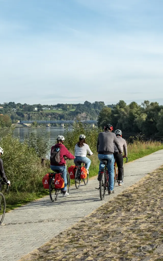 Nantes vineyard cycle route: cycling along the Loire River