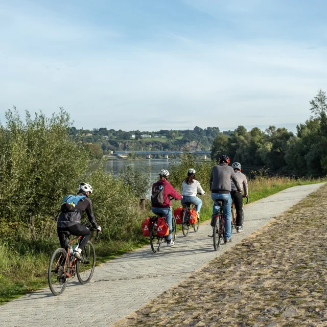 Circuit vélo vignoble nantais : balade à vélo sur la Loire à vélo