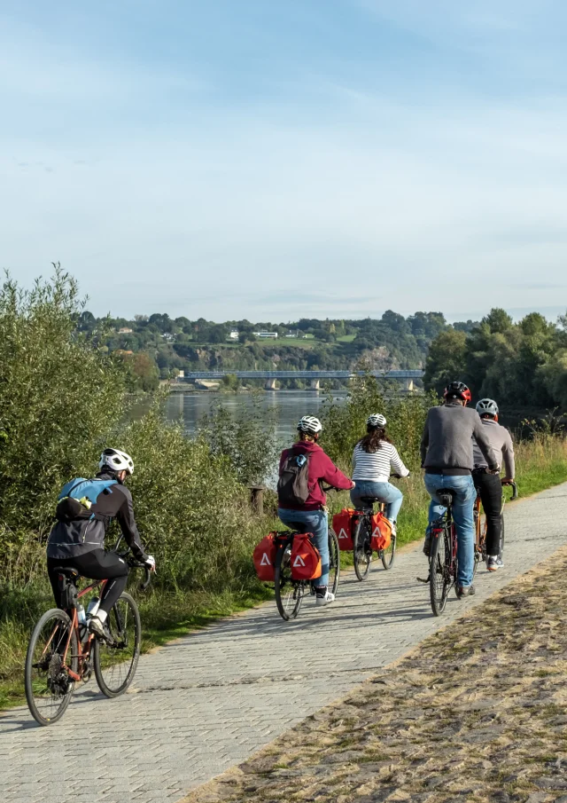 Nantes vineyard cycle route: cycling along the Loire River