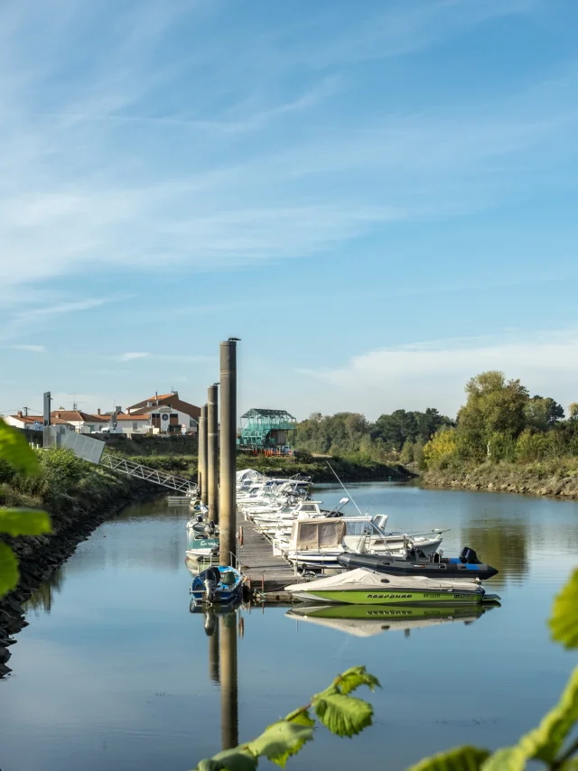 Romantic weekend in Loire-Atlantique : The banks of the Loire in the Nantes vineyards